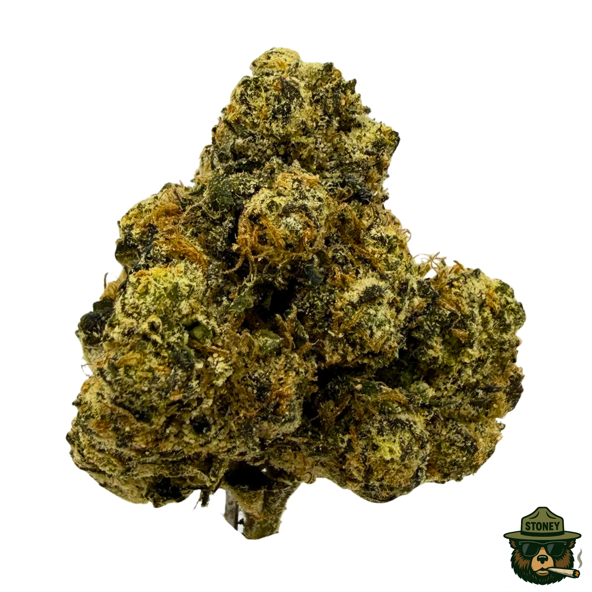 Jellyz - 7G
